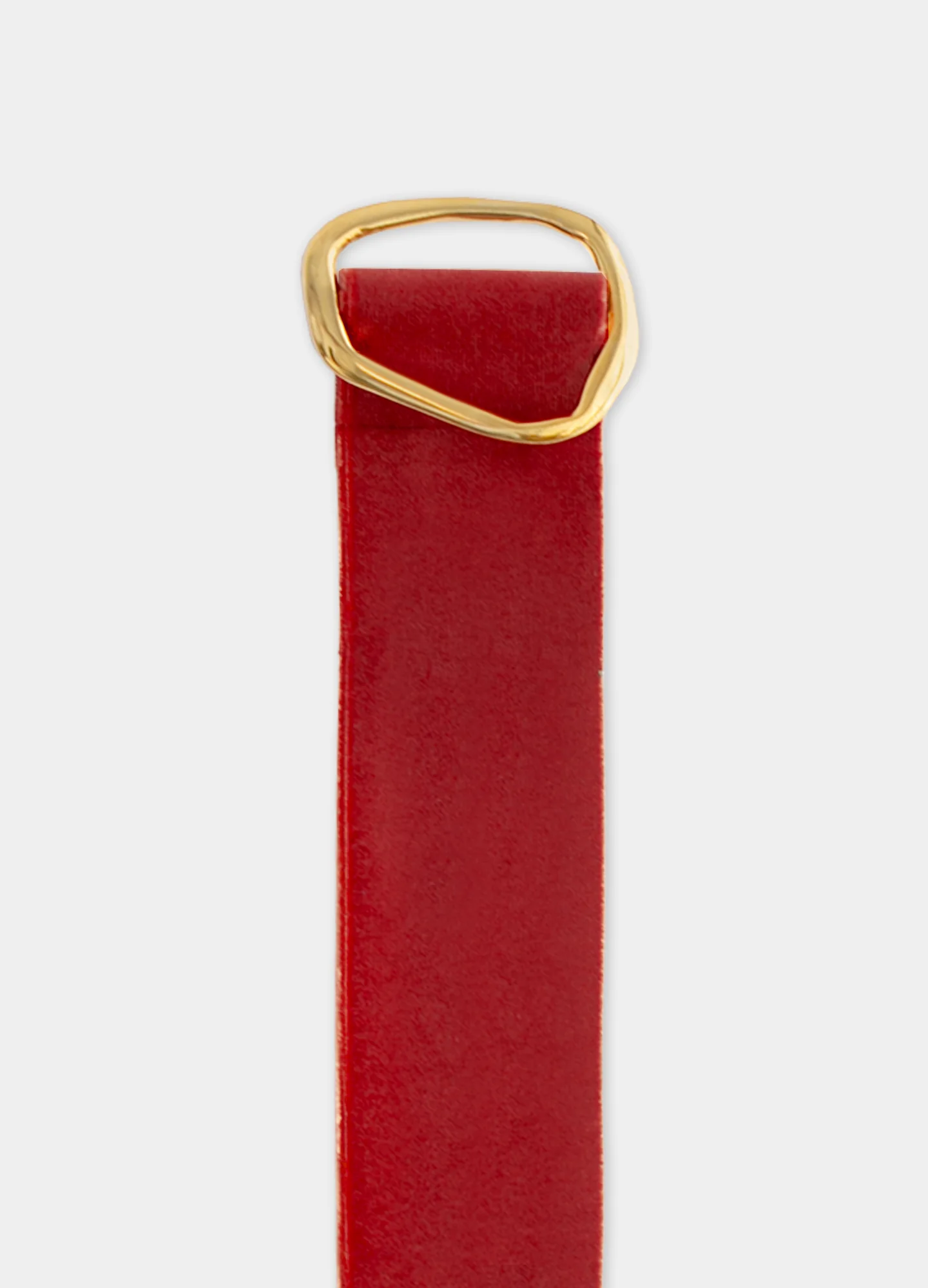 Cinturón Basic Velvet - Image 15